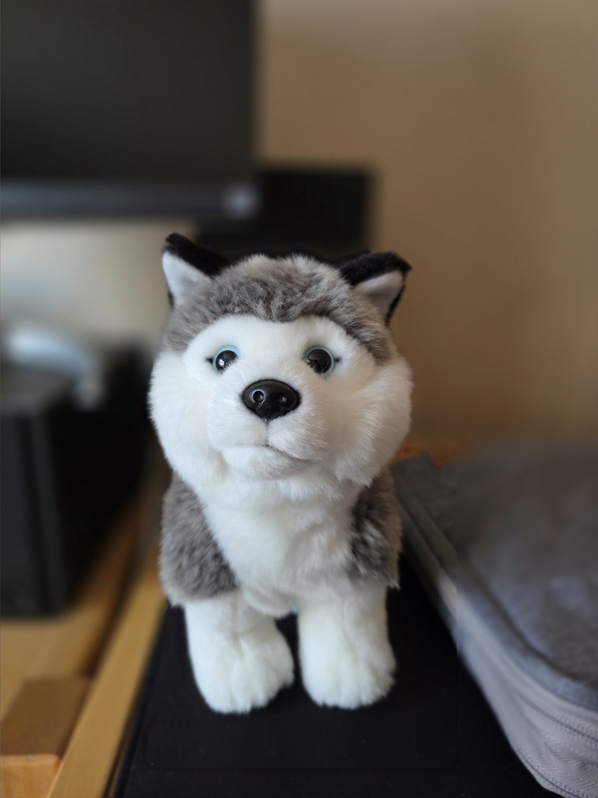 Paco, la mascotte de Bylse